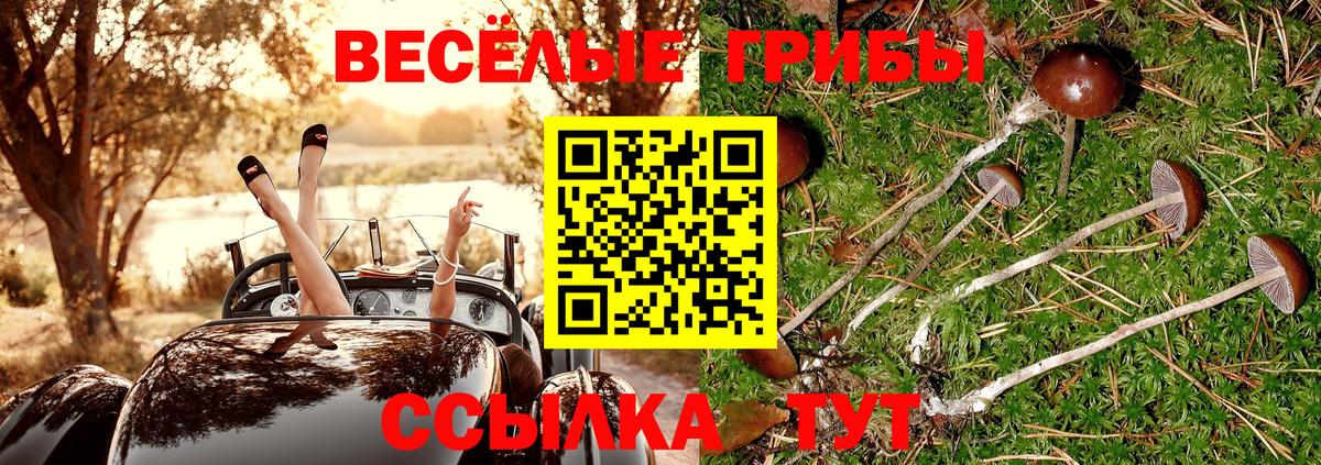 Галлюциногенные грибы мухоморы Канск