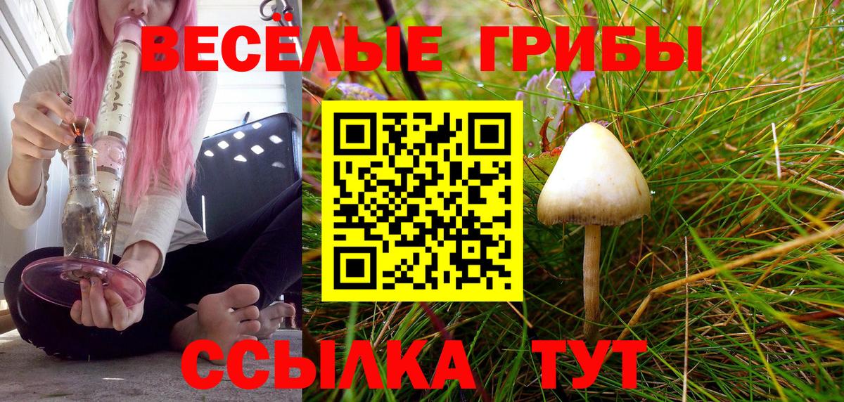 наркотики  Галлюциногенные грибы ЛСД  Вход с VPN  Канск 
